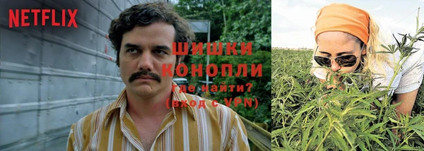 прущая мука Алзамай
