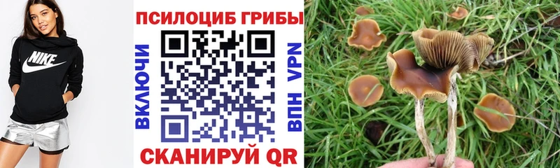 Галлюциногенные грибы GOLDEN TEACHER  где найти наркотики  Сызрань 